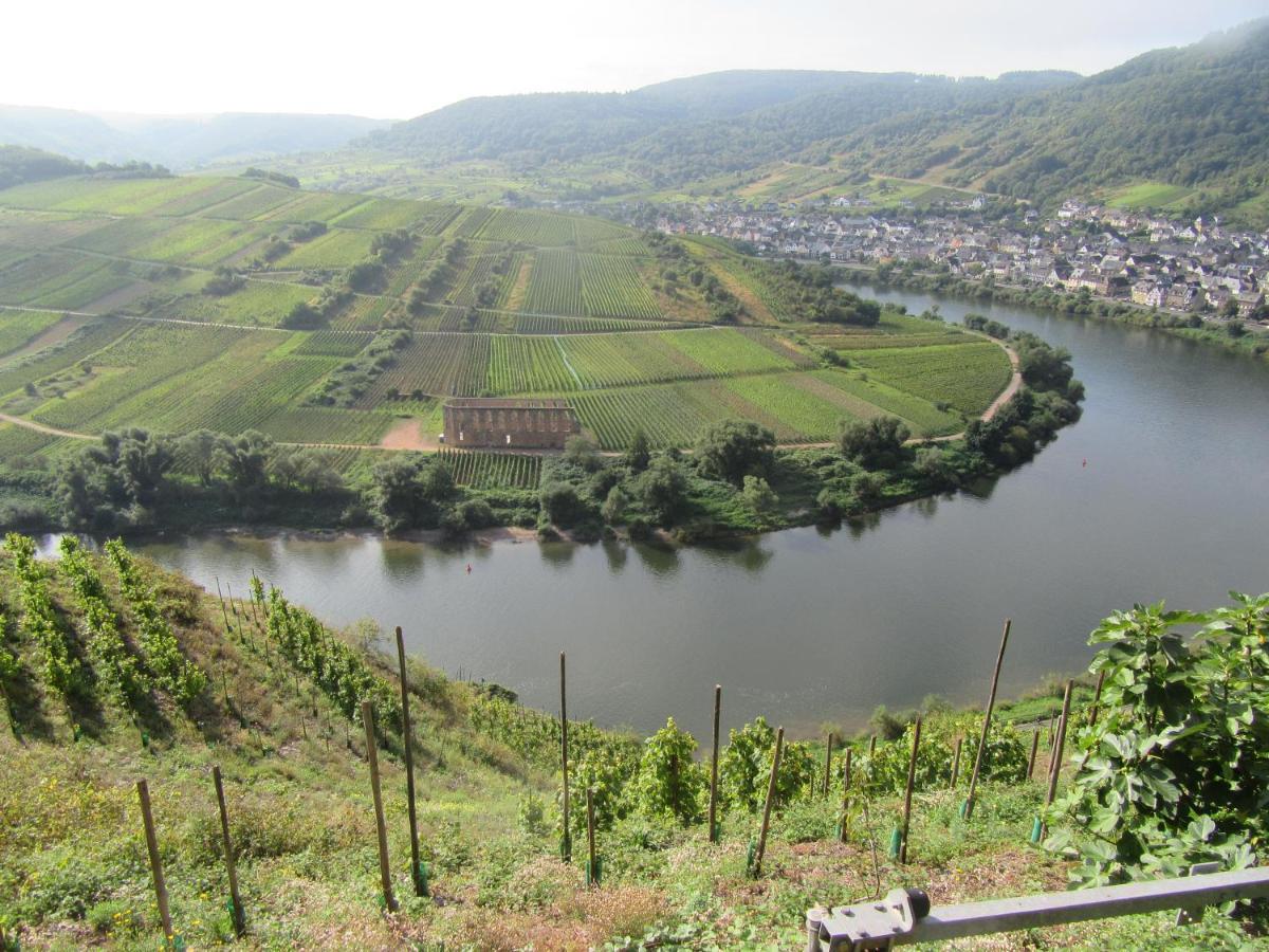 Ferienhaus Leopold Mit Burgblick An Der Mosel Burgen  Exterior foto