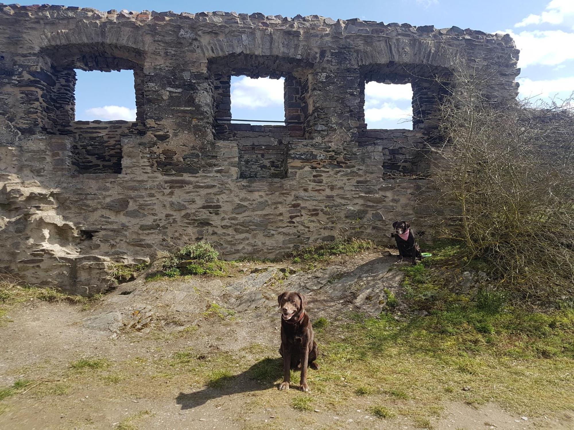 Ferienhaus Leopold Mit Burgblick An Der Mosel Burgen  Exterior foto